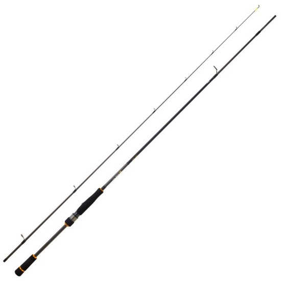 Daiwa BG RF 2.44m 2-8gr