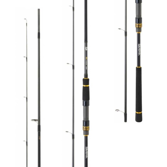 Daiwa BG Seabass  2.72m 14-42gr