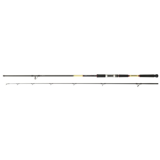 Daiwa Grandwave Shore Jigging 3.05m 60-120gr