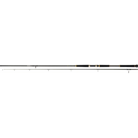 Daiwa Legalis Shore Jigging  2.90m 28-84gr