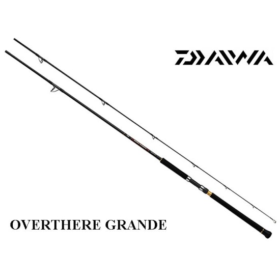 Daiwa Over There Grande 3.05m 40-120gr