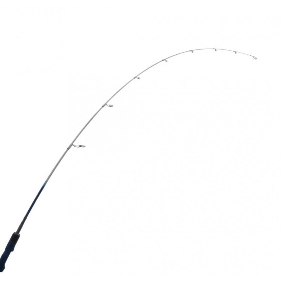 Pioneer PT Anglers SP 1.80m 14-60gr