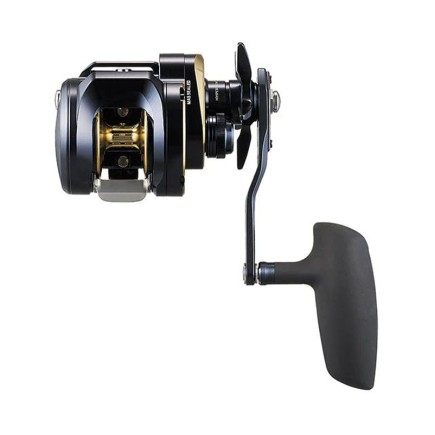 Daiwa Saltiga 25 300H Daiwa Saltiga 25 300H