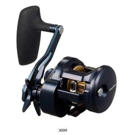 Daiwa Saltiga 25 300H Daiwa Saltiga 25 300H