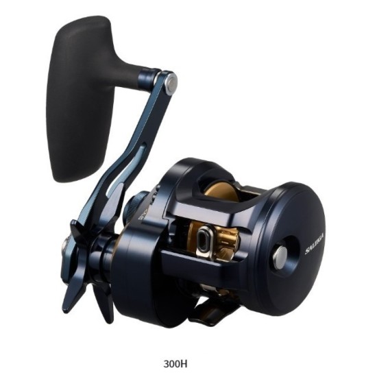 Daiwa Saltiga 25 300H Daiwa Saltiga 25 300H